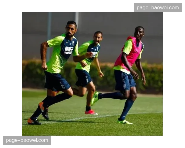 李梓昂解读中超处罚影响 俱乐部运营规范与竞技成绩平衡 李梓昂解读中超处罚影响 俱乐部运营规范与竞技成绩平衡